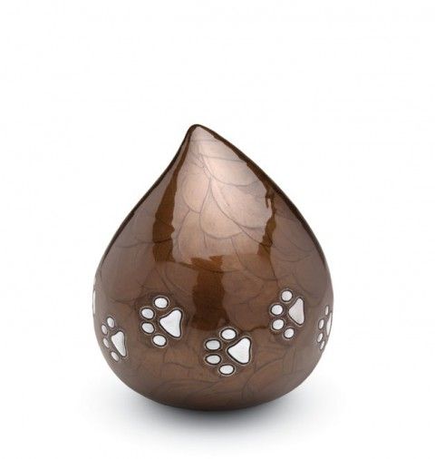 U11 GOCCIA ORO - 4fec6-c8d39-7c00c-goccia-oro-d7c45.jpg