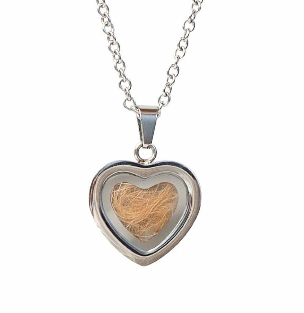 Joies amb Pèl (Plata) - joia-amb-pel-plata-copia.jpg