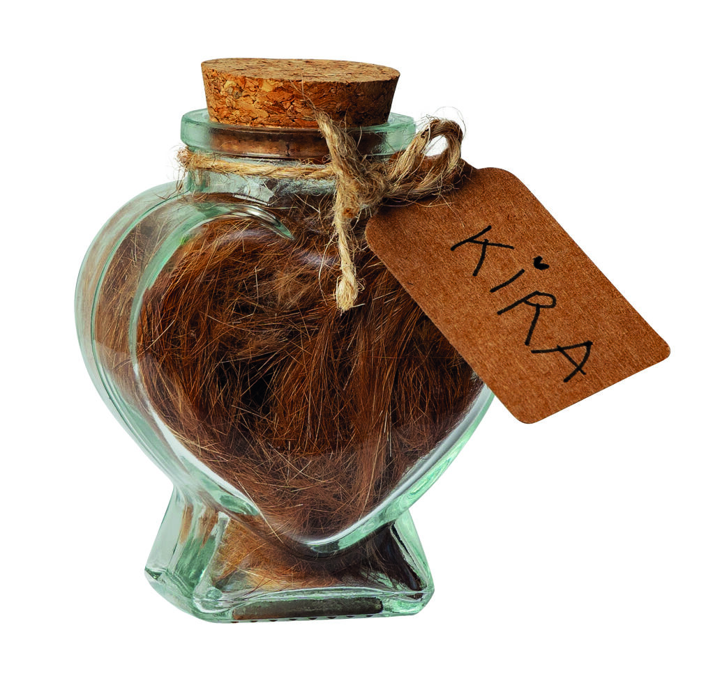 Recipients amb Pèl (Cor) - recipient-pel-cor.jpg