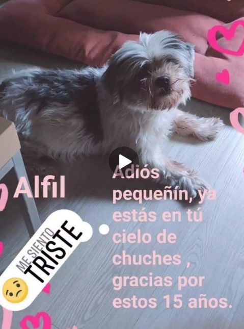 ALFIL