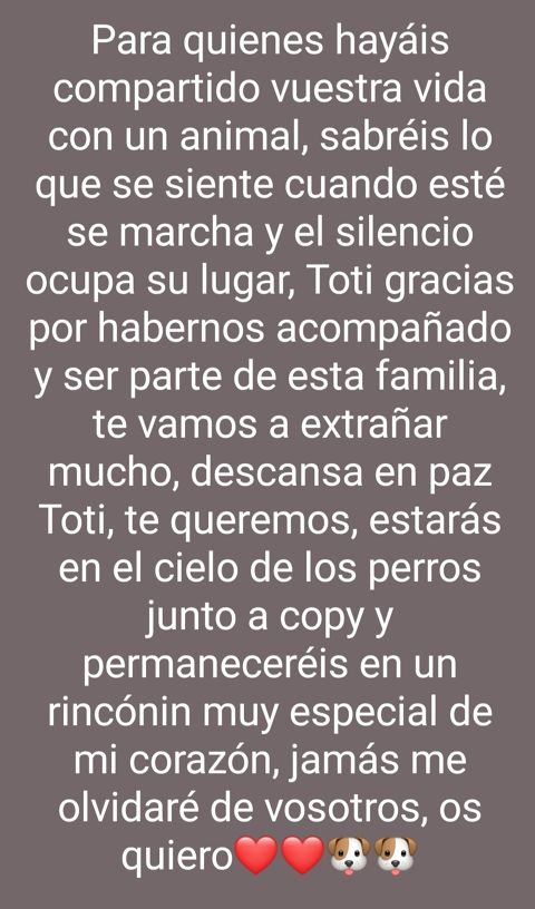 TOTI