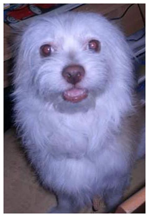 TOBY