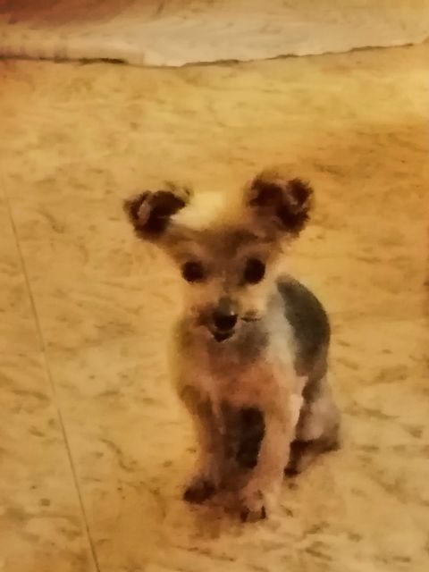 KIKI