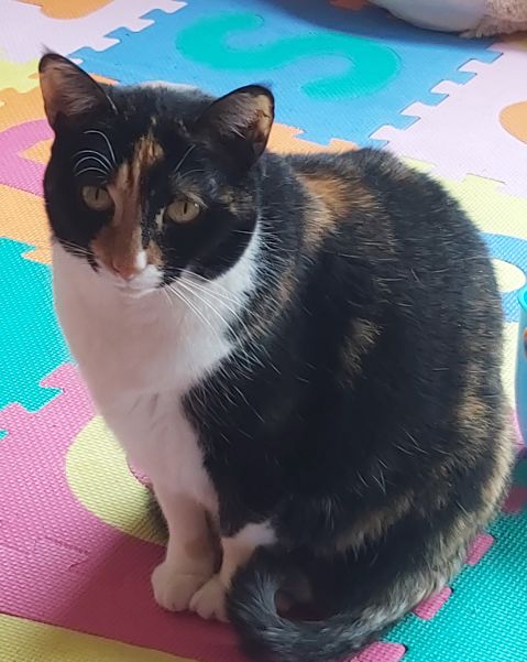 AUDREY