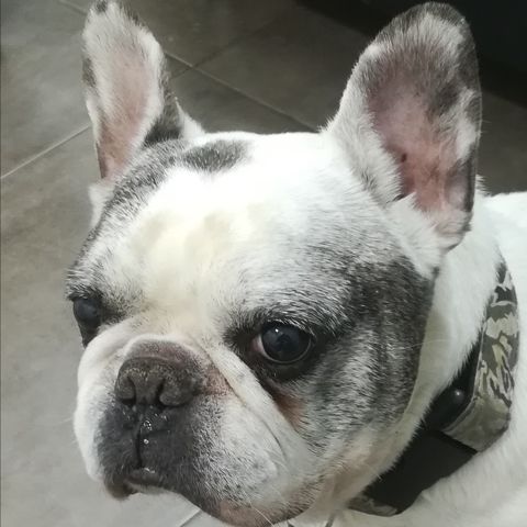 QUENTIN