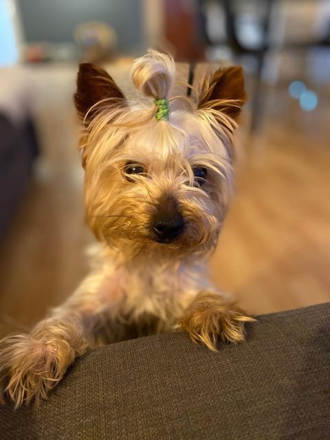 TYSSON