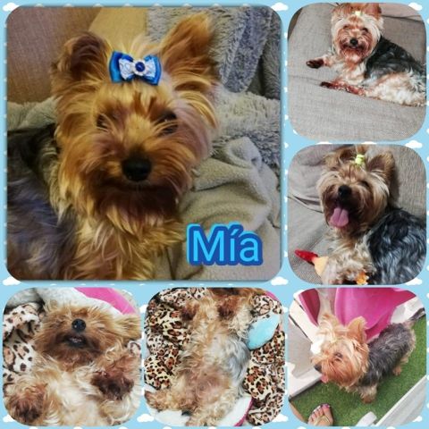 MIA