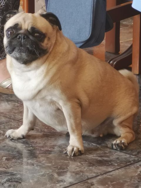 NALA
