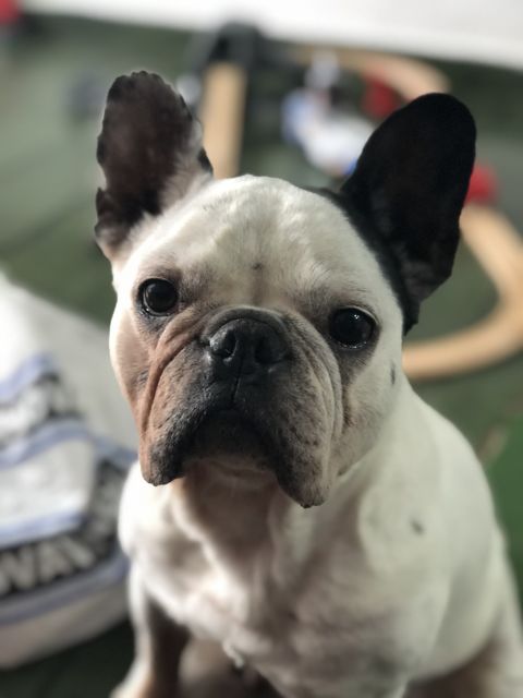 NALA