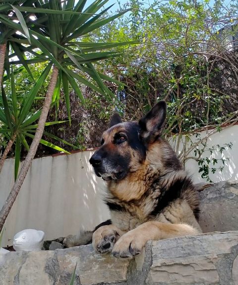 OTTO