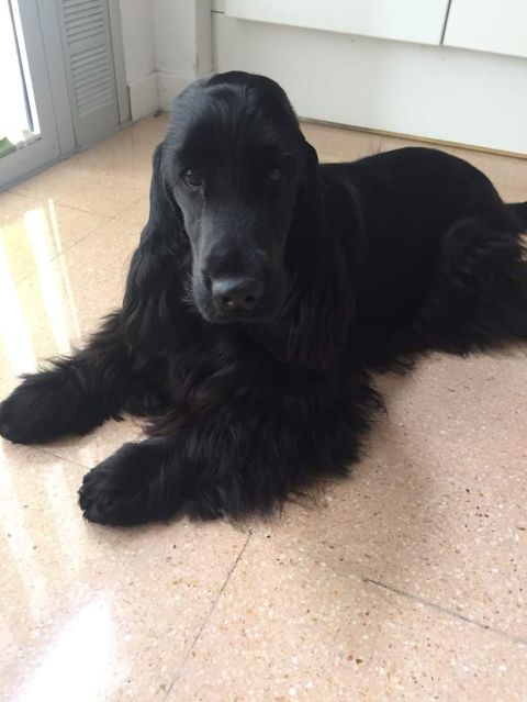 AIKA