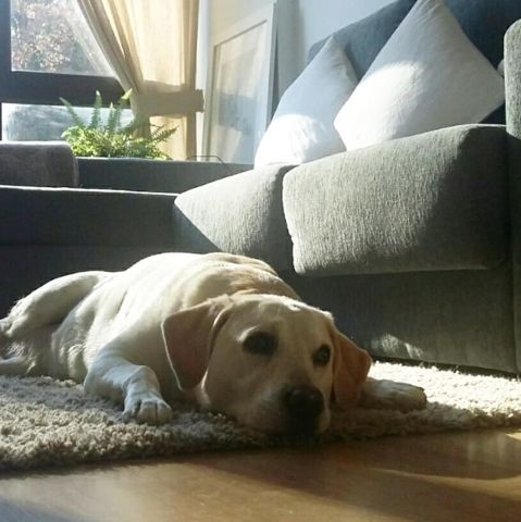 LUNA