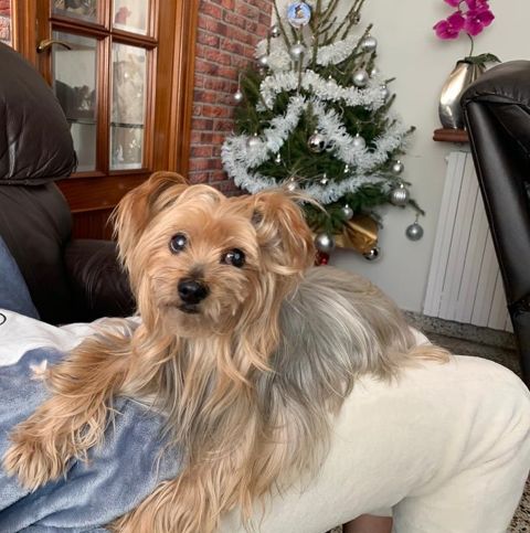 PETIT