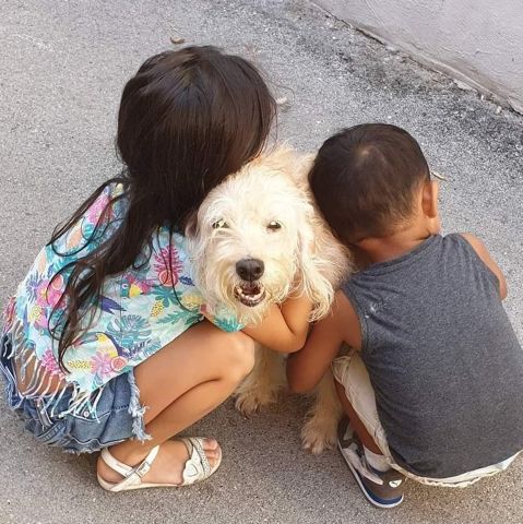 LASSIE