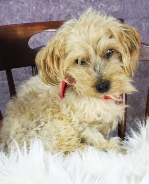 CHARLIE