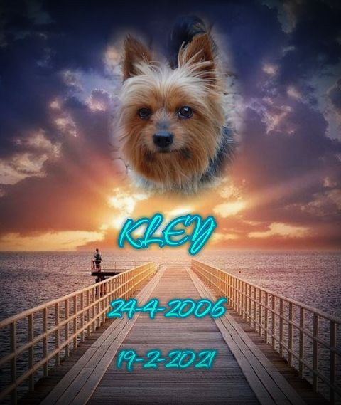 KLEY