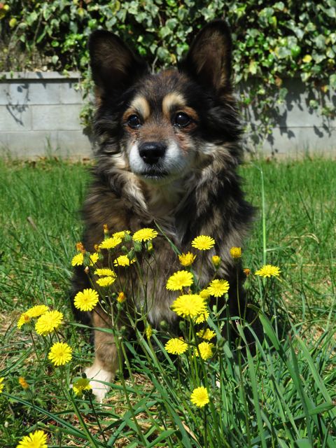 ROCKY
