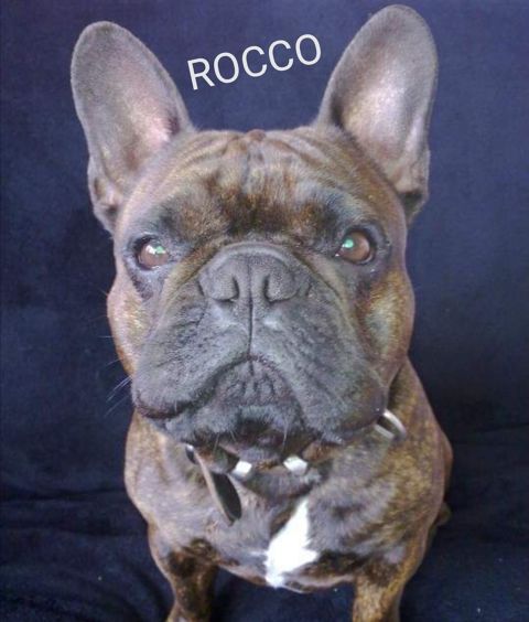 ROCCO