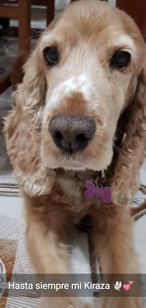 KIRA