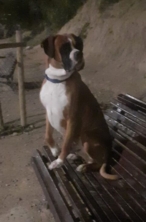 BUBBA