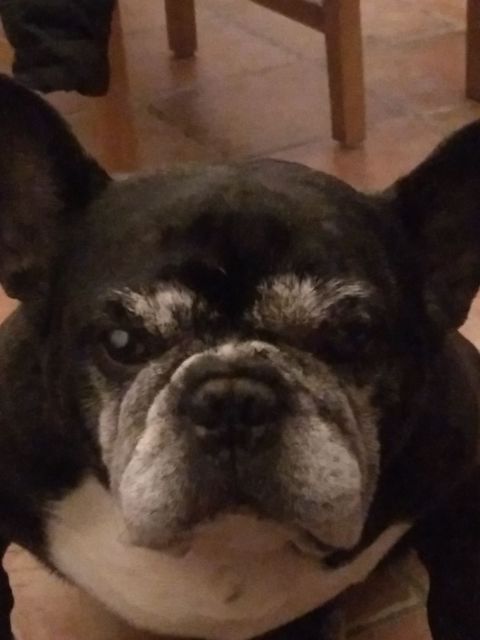 COCO