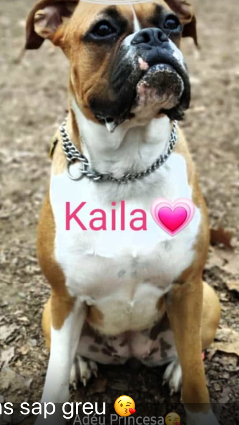 KAILA