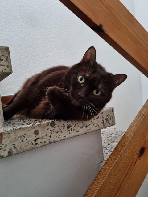 FLUFFY