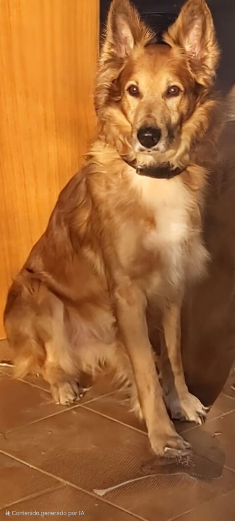 HUGO