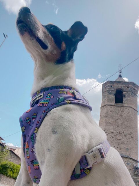 LUNA