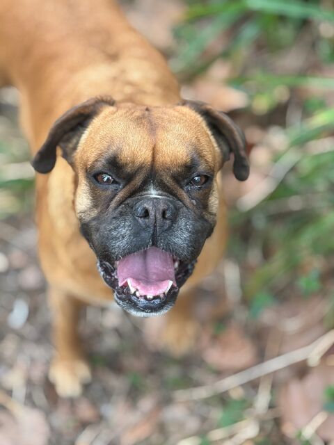 MIA