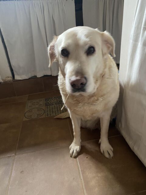 NALA