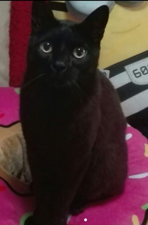 NALA