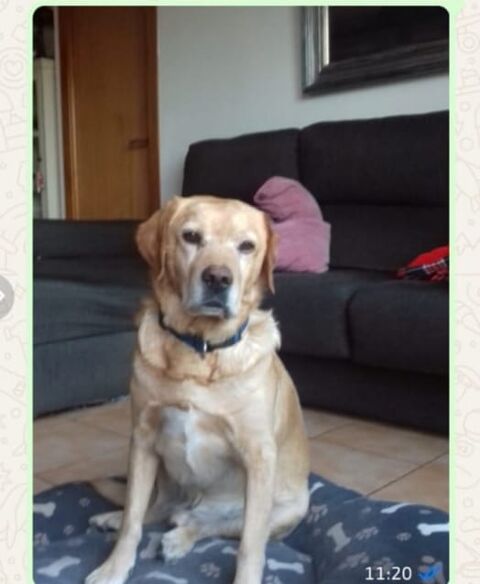 OTTO