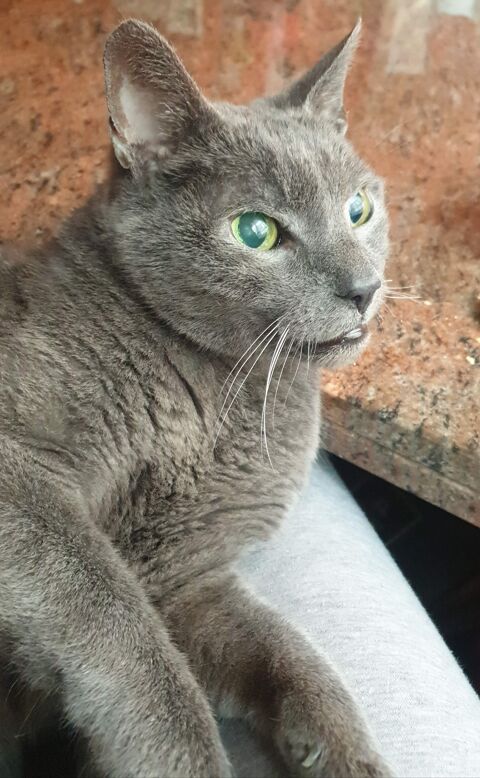 PEIPAR