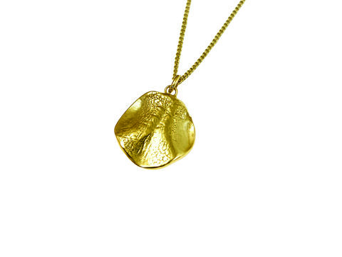 Jewelry from the muzzle (Gold)