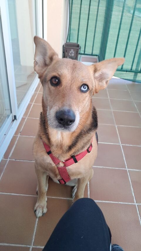 ROXY