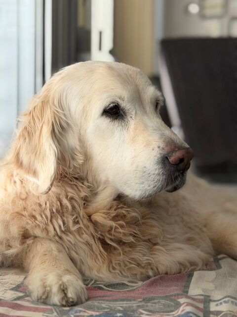 TINA