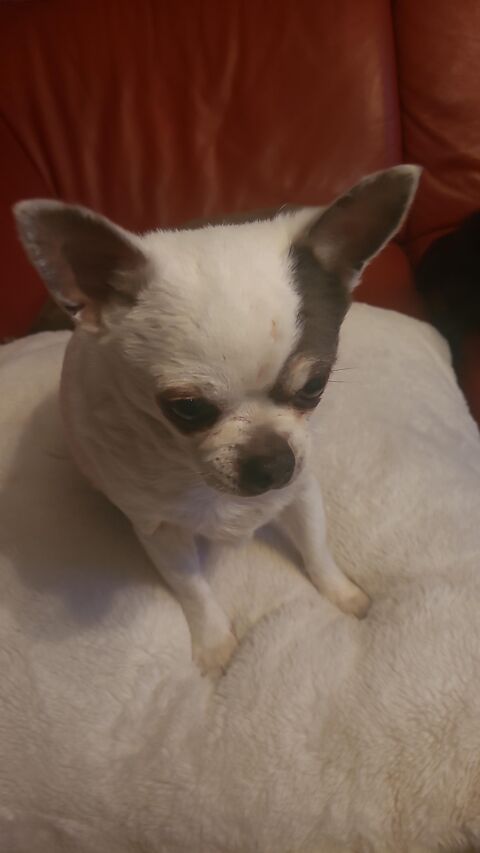 TOM