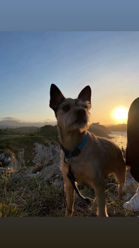 YOGUI