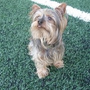 00101-0a0af-teddy.jpg