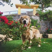 051d5-RUFUS.jpg