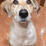 056e6-PANCHO-26-08.jpeg