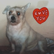 0ebd9-65dc8-zeus.png