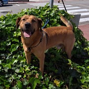 0fa3f-BRUNO-8-10.jpg