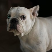 146ad-DAISY-3-8.jpg