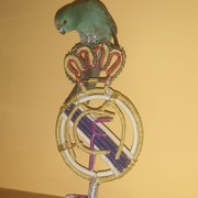 21a01-bcb6a-coco-9-9-2020.jpg