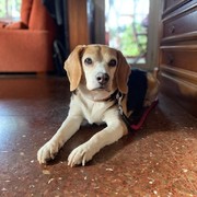 2658b-NALA-26-06.jpg