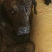 3043a-TOBY-27-12.jpg