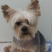 39bd7-TIN2.jpg