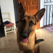 3b7d3-DJANGO.jpg